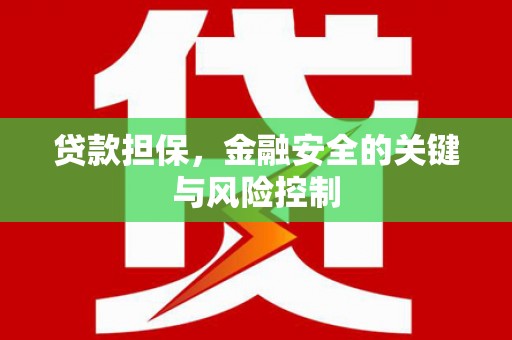 范县贷款担保，金融安全的关键与风险控制