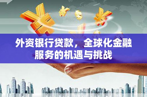 修武外资银行贷款，全球化金融服务的机遇与挑战