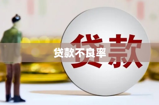 屯溪贷款不良率
