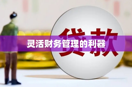 磐安灵活财务管理的利器