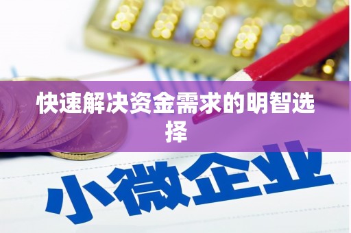 桃山快速解决资金需求的明智选择