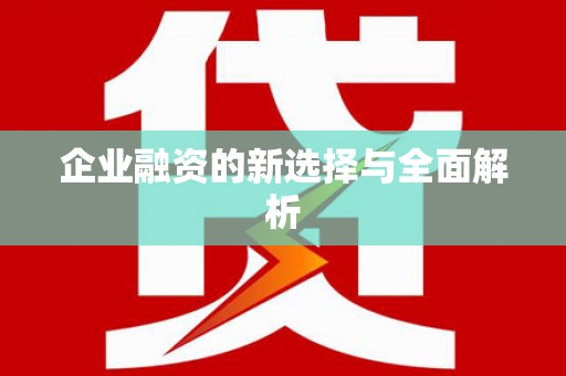 昭苏企业融资的新选择与全面解析