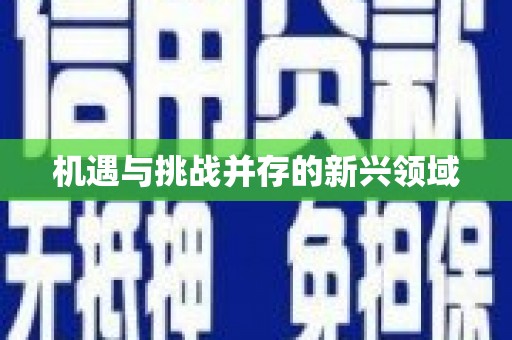 朔城机遇与挑战并存的新兴领域