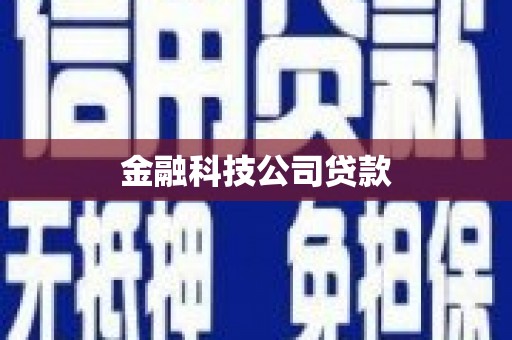 东兴金融科技公司贷款