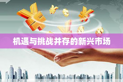 兰考机遇与挑战并存的新兴市场
