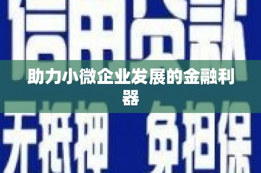 中卫助力小微企业发展的金融利器