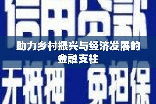 新邱助力乡村振兴与经济发展的金融支柱